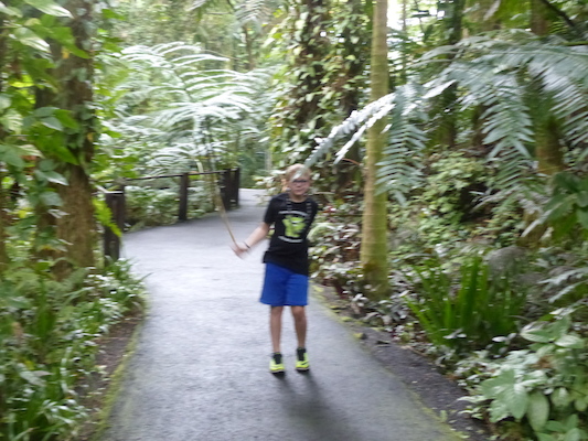 P1060709 (02-22-2017 12:03)