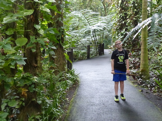 P1060710 (02-22-2017 12:03)