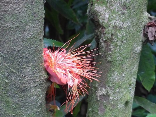 P1060711 (02-22-2017 12:09)