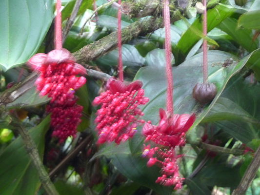 P1060715 (02-22-2017 12:10)