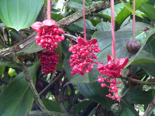 P1060716 (02-22-2017 12:11)