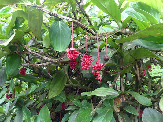 P1060717 (02-22-2017 12:11)