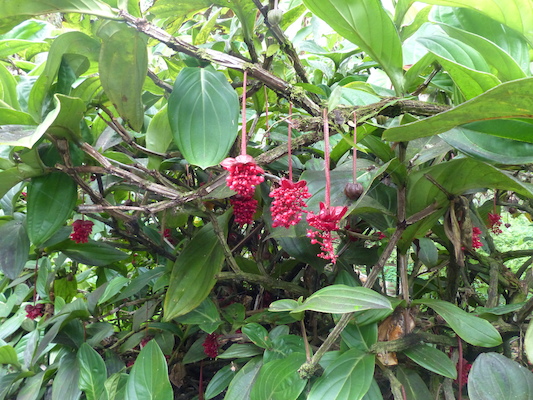 P1060718 (02-22-2017 12:11)