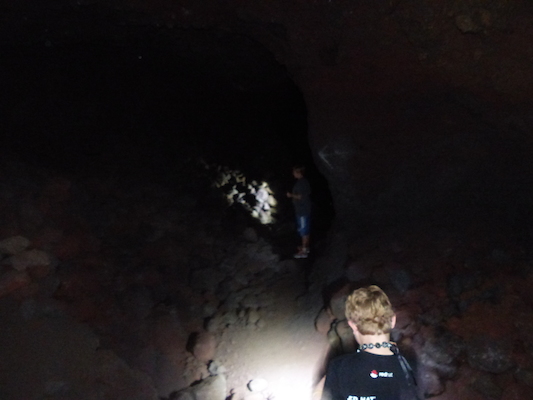 P1060721 (02-22-2017 15:12)