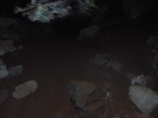 P1060727 (02-22-2017 15:13)