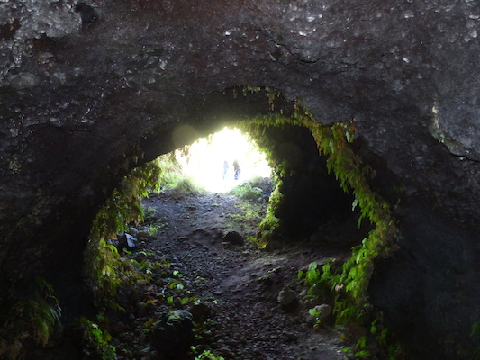 P1060728 (02-22-2017 15:14)