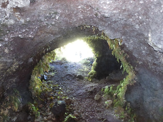 P1060729 (02-22-2017 15:14)