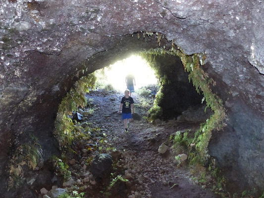 P1060730 (02-22-2017 15:14)