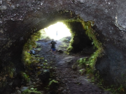 P1060731 (02-22-2017 15:14)