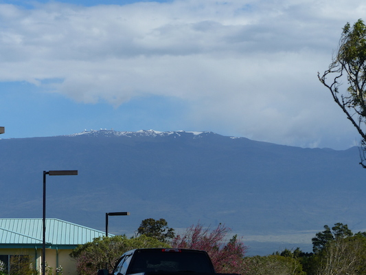 P1060733 (02-22-2017 15:36)