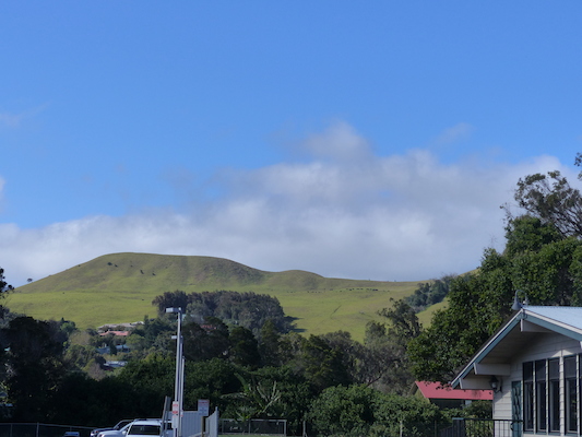 P1060738 (02-22-2017 15:37)