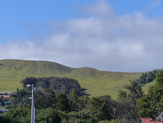 P1060739 (02-22-2017 15:37)