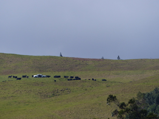 P1060740 (02-22-2017 15:37)