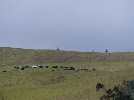 P1060741 (02-22-2017 15:37)