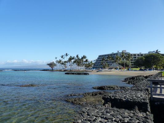 P1060749 (02-23-2017 09:18)