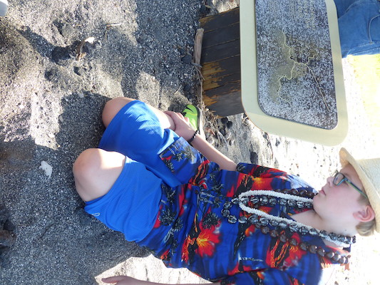 P1060755 (02-23-2017 09:34)