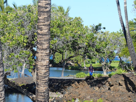 P1060757 (02-23-2017 09:44)