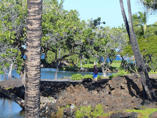 P1060758 (02-23-2017 09:44)