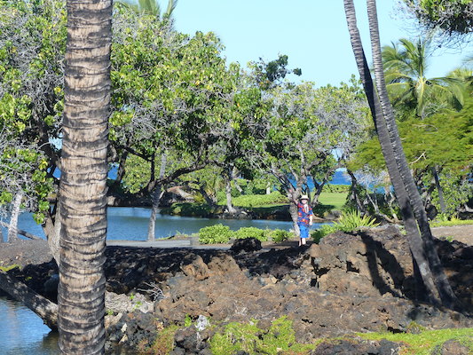 P1060759 (02-23-2017 09:44)