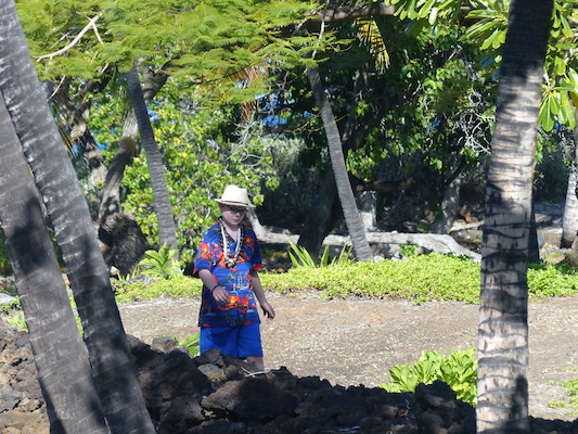 P1060760 (02-23-2017 09:44)