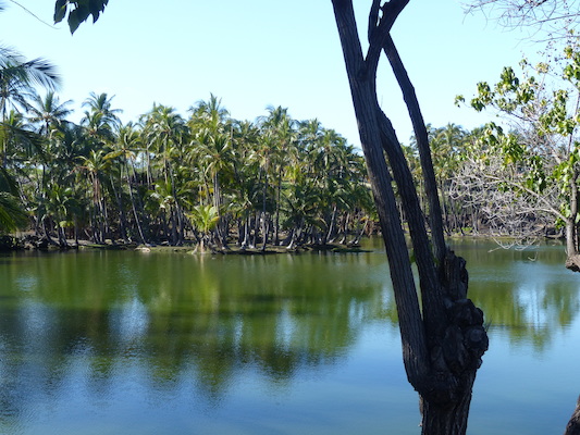 P1060761 (02-23-2017 09:44)