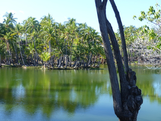 P1060762 (02-23-2017 09:45)