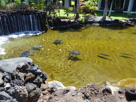 P1060802 (02-23-2017 11:10)