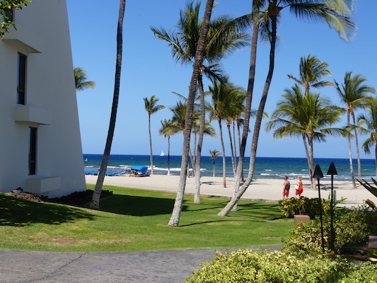 P1060816 (02-23-2017 11:28)