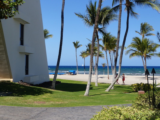 P1060817 (02-23-2017 11:28)