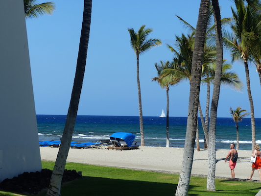 P1060818 (02-23-2017 11:28)