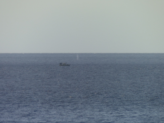 P1060819 (02-23-2017 15:15)