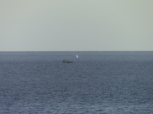 P1060820 (02-23-2017 15:15)