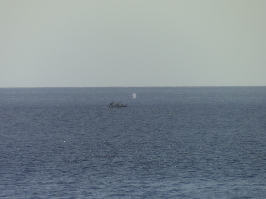 P1060821 (02-23-2017 15:15)