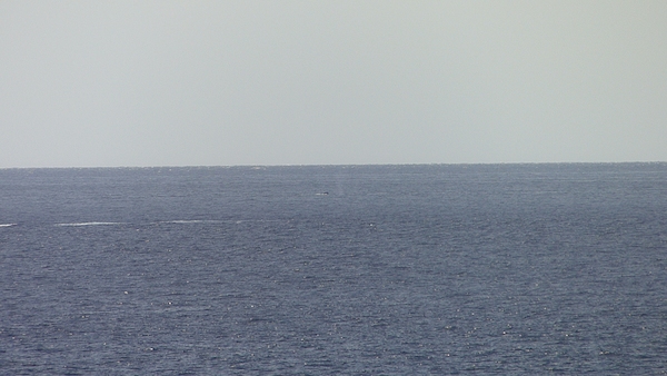 P1060822 (02-23-2017 15:16)