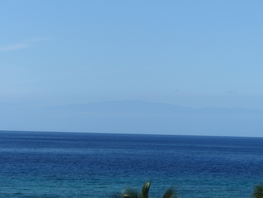 P1060823 (02-23-2017 15:19)