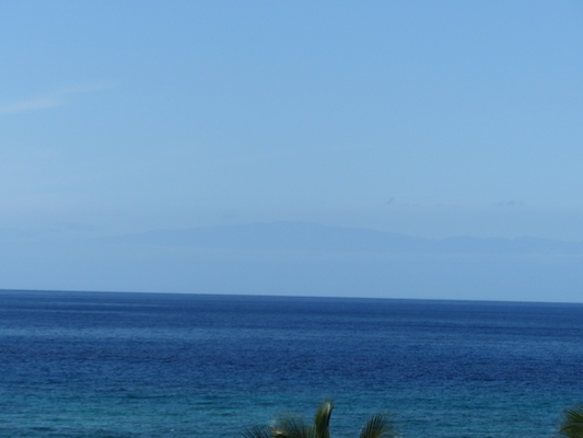 P1060824 (02-23-2017 15:19)