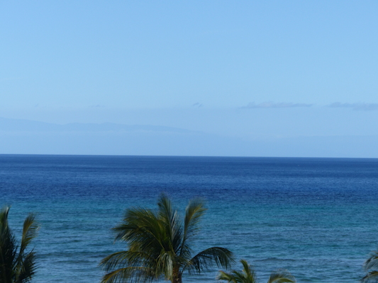 P1060825 (02-23-2017 15:19)