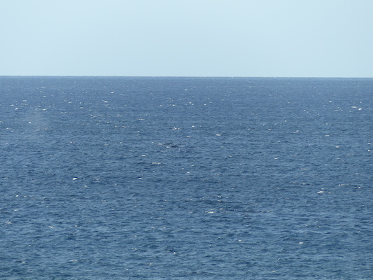 P1060840 (02-23-2017 17:26)