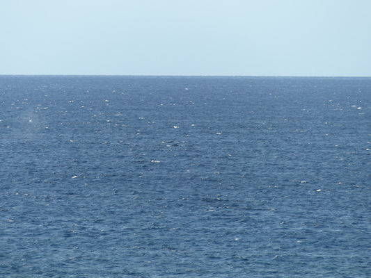 P1060841 (02-23-2017 17:26)