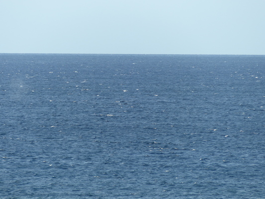 P1060842 (02-23-2017 17:26)