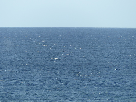 P1060843 (02-23-2017 17:26)