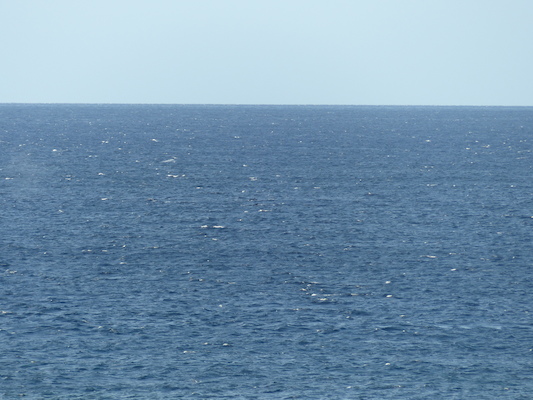 P1060844 (02-23-2017 17:26)