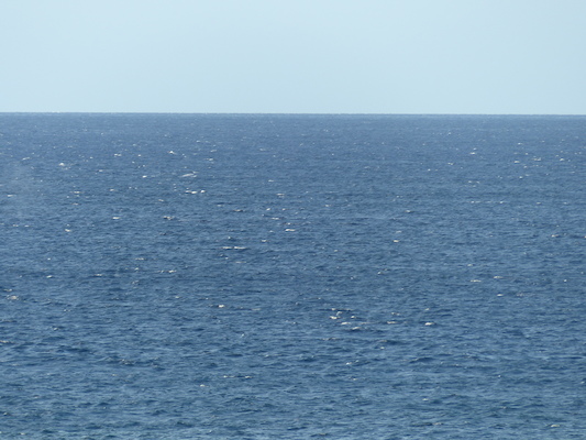 P1060845 (02-23-2017 17:26)