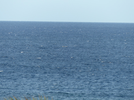 P1060869 (02-23-2017 17:26)