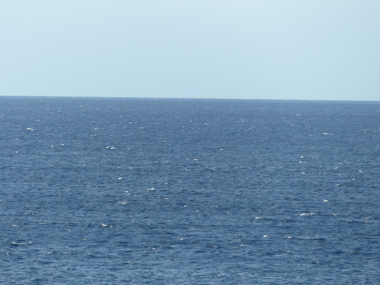 P1060870 (02-23-2017 17:26)