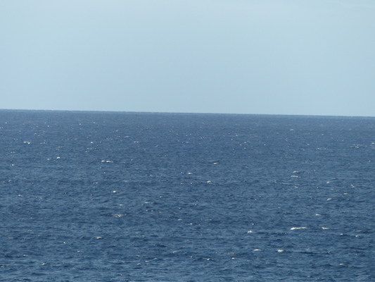 P1060871 (02-23-2017 17:26)