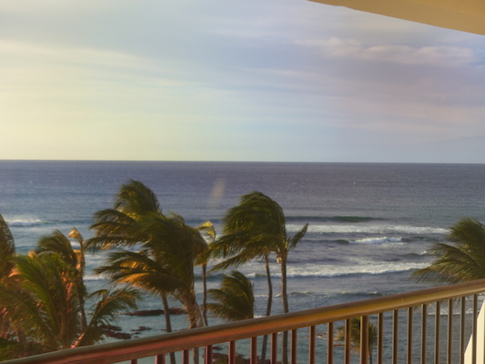 P1060889 (02-23-2017 17:42)