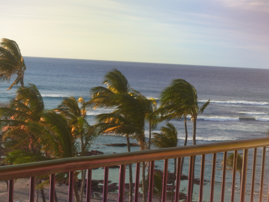 P1060890 (02-23-2017 17:42)