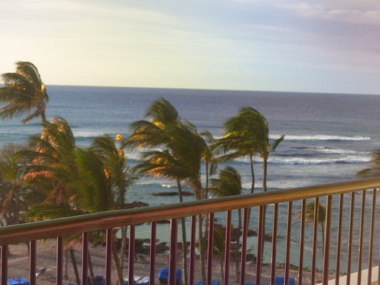 P1060891 (02-23-2017 17:42)