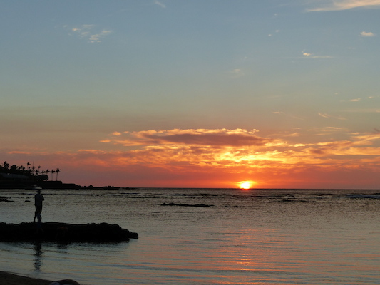 P1060897 (02-23-2017 18:24)